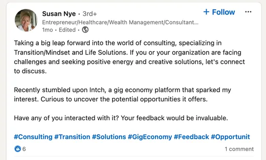 LinkedIn post by Susan Nye, starting out as a consultant, who discovered Intch as a gig economy platform and asks her network for feedback on the opportunities it offers.